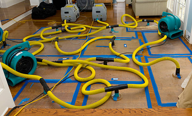 Professional Crawl Space Water Removal technician working in Central City, IA
